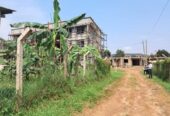 Plot On Sale!! Kulambiro Jomayi 110M 50x100ft