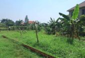 Plot On Sale!! Kulambiro Jomayi 110M 50x100ft