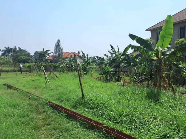 Plot On Sale!! Kulambiro Jomayi 110M 50x100ft