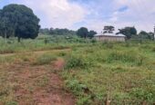 Plot On Sale!! Kyabakadde Gayaza Rd 25M 50x100ft (20 Plots )