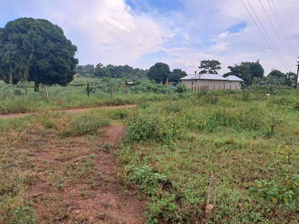 Plot On Sale!! Kyabakadde Gayaza Rd 25M 50x100ft (20 Plots )