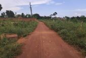 Plot On Sale!! Kyabakadde Gayaza Rd 25M 50x100ft (20 Plots )