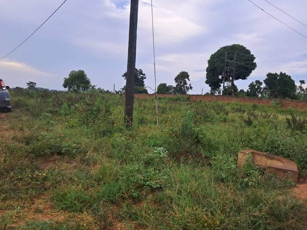 Plot On Sale!! Kyabakadde Gayaza Rd 25M 50x100ft (20 Plots )