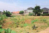 Plot On Sale!! Kulambiro Jomayi 110M 50x100ft