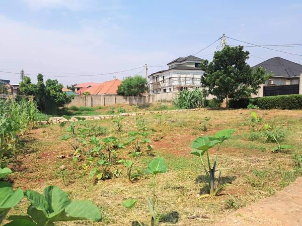 Plot On Sale!! Kulambiro Jomayi 110M 50x100ft