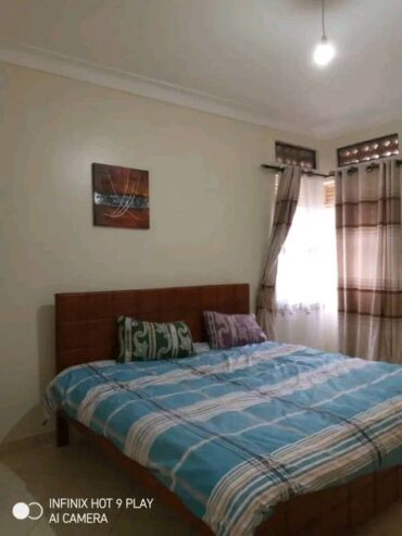 Fully furnished apartments for rent in Ntinda kiwatule Rd,