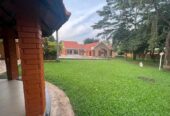 4 bedroom house for rent in Naguru with big garden on 60decs