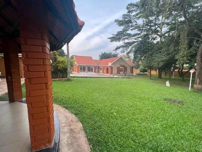 4 bedroom house for rent in Naguru with big garden on 60decs