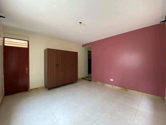 4 bedroom and 3 bathrooms penthouse for rent in Najjera