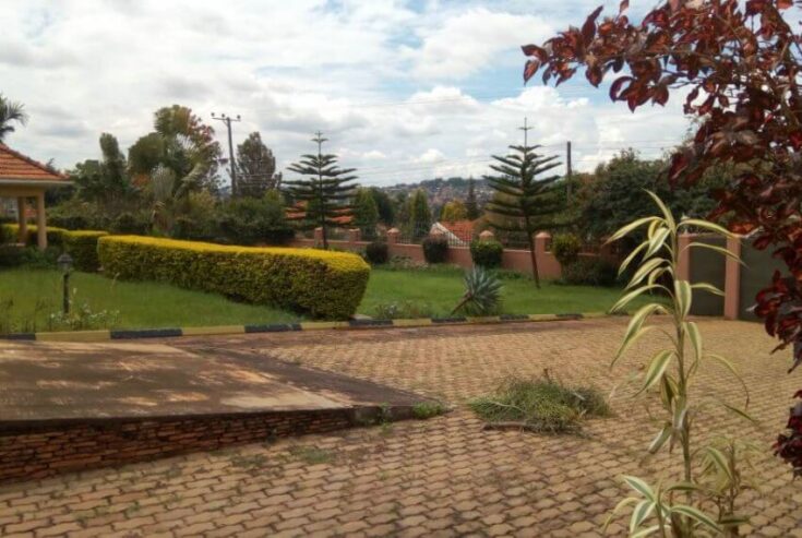 4 Bedroom house for Rent in Lubowa