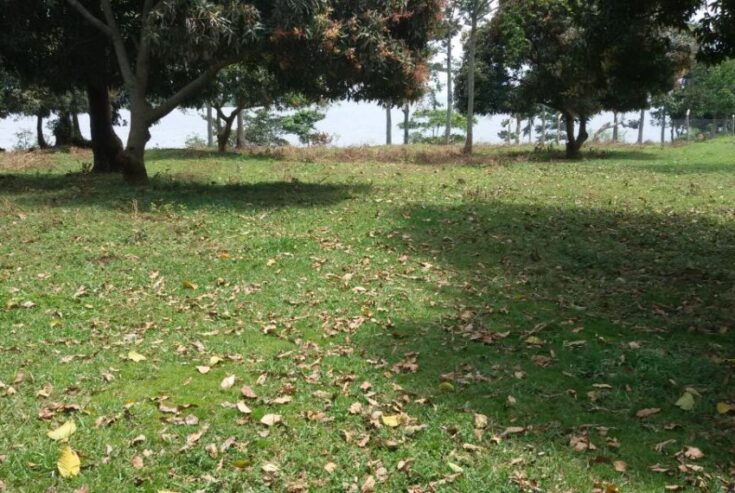 3 Acres Location: Lake Side View, Kigo.