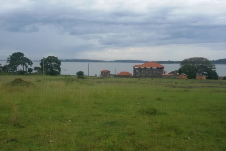 Lake Side View Entebbe Bugiri