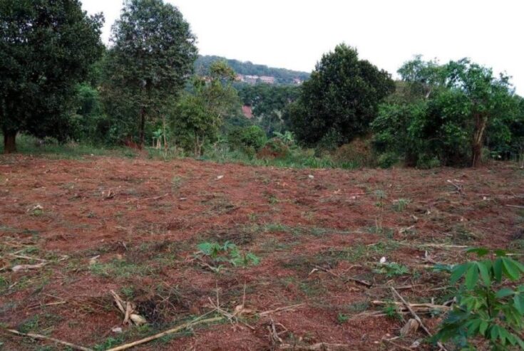 3 acres of land for sale in Sanda Nakawuka