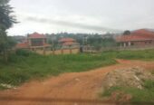 12 DECIMALS FOR SALE IN MUYENGA FOREST VILLAGE