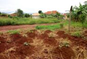 Plot for sale in Busabala 100*100fts viewing lake