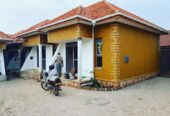 6 Rentals for sale in Najjera