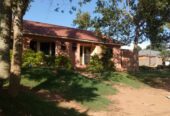 2 rental units in Namugongo