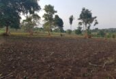 24acres of land for sale in Mubende