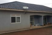 A rental in Bukoto for sale