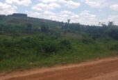 3acres in Buwambo Lugo