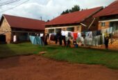 Hostels on 41 Dec for sale in mukono near UCU