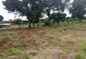 3 Acres of Land for sale. The land touches Lake Victoria.