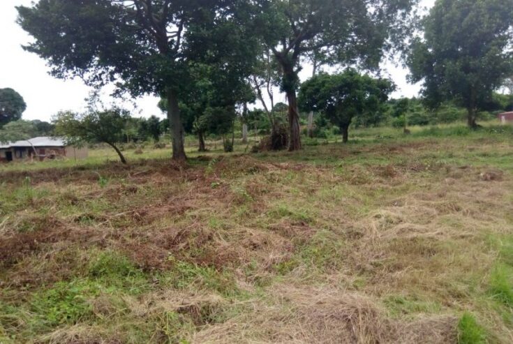 3 Acres of Land for sale. The land touches Lake Victoria.