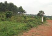 Land for sale in Namanve