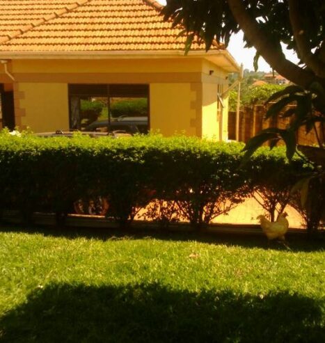 4 Bedroom house for Rent in Entebbe