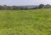 land in Katosi 9,000,000 per acre