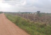 Farmland For Sale Mbarara, Uganda