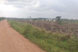 Farmland For Sale Mbarara, Uganda