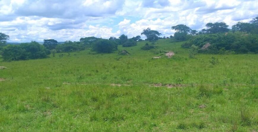 Plots and Farmlands for sale