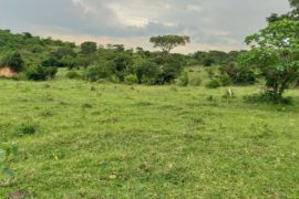 Plots and Farmlands for sale