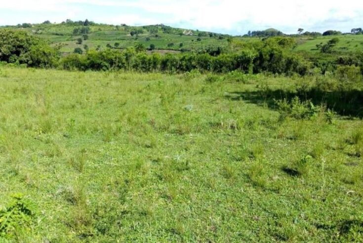 100 acres of good farmland for sale in Mpigi Gombe-Butambala