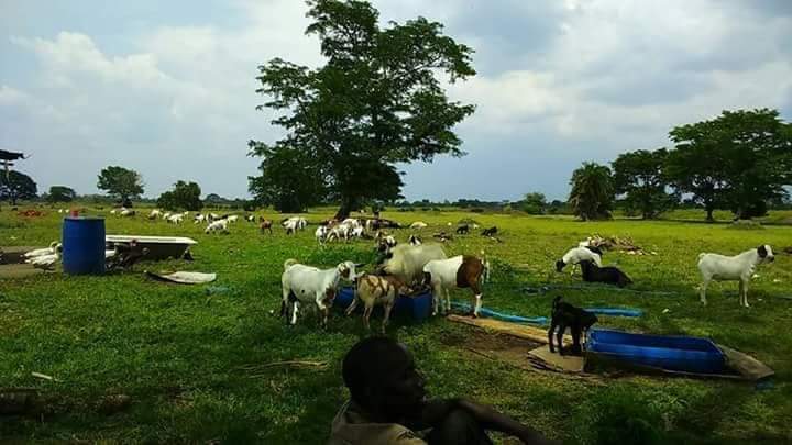 A farm land for sale in Namasagali Kamuli District