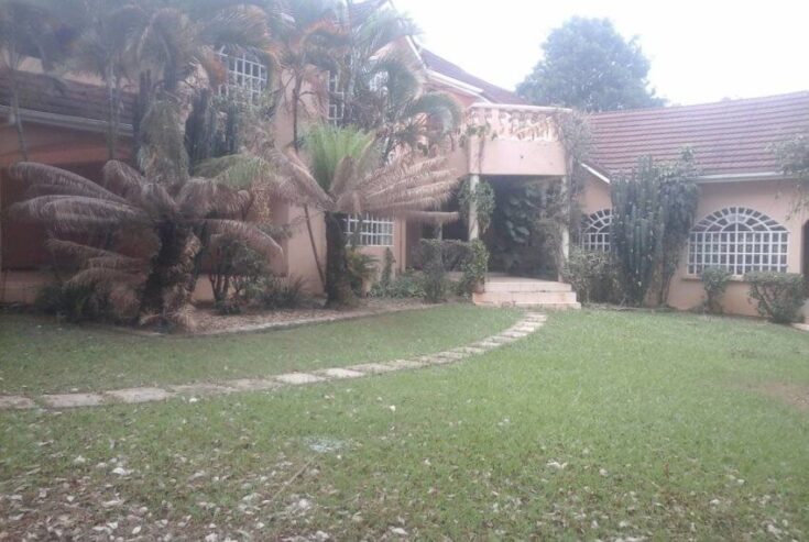 3-Bedroom Colonial Home for Rent in Munyonyo