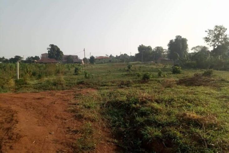 Farm land for sale in Manyangwa Naalya