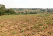 Farm land for sale in Manyangwa Naalya