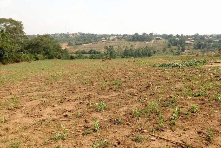 Farm land for sale in Manyangwa Naalya