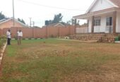 A stand alone house for Rent in Ntinda