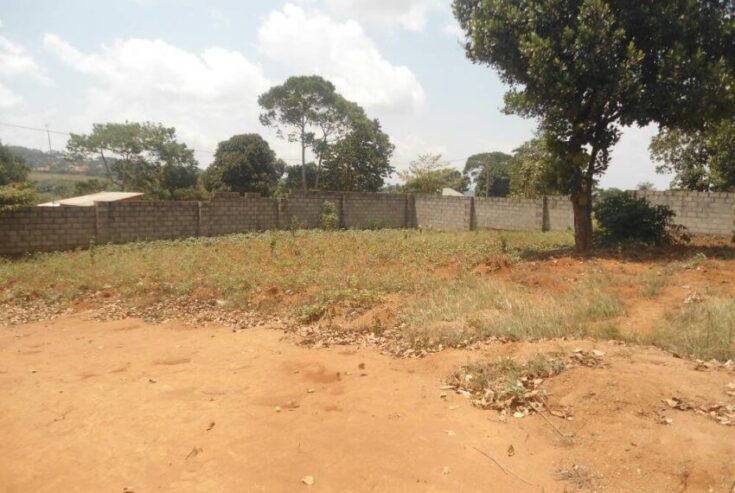 Piece of land on sale in Entebbe