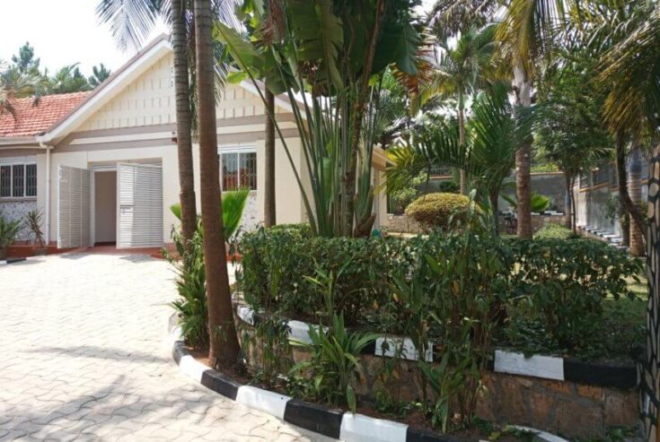 4 Bedroom house for rent in Ntinda