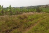 4 PLOTS OF LAND LAND FOR SALE OPPOSITE PINACLE HOTEL