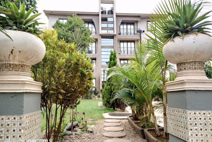 Fully Furnished 2 Bedrooms Apartment For Rent In Kisaasi