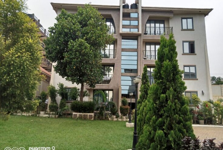 Fully Furnished 2 Bedrooms Apartment For Rent In Kisaasi