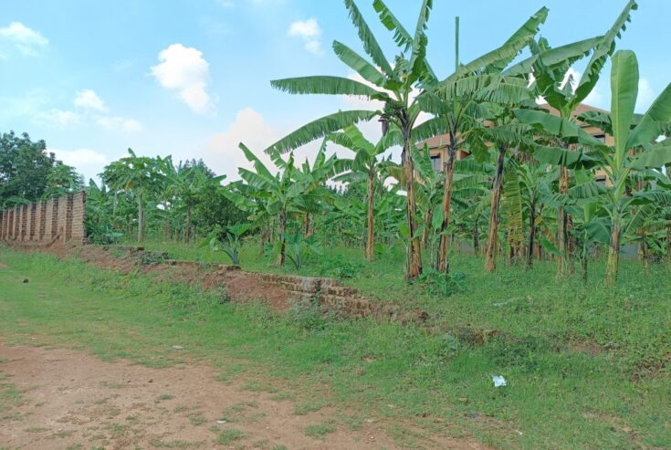 KIRA 1 ACRES AND 48 DECIMALS LAND FOR SALE