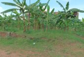 KIRA 1 ACRES AND 48 DECIMALS LAND FOR SALE