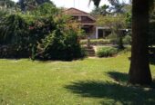 Kololo Bungalow on a Full Acre