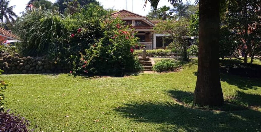 Kololo Bungalow on a Full Acre